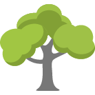Warrenton Tree Removal