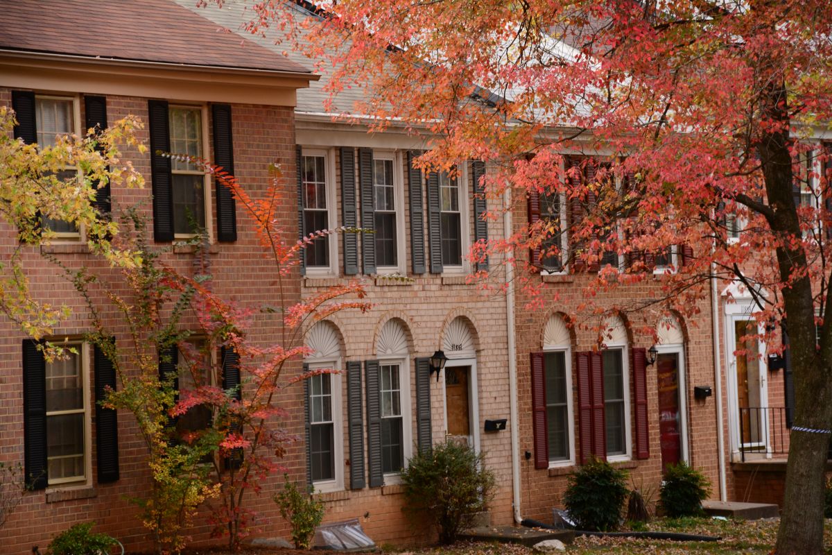 Apple Tree Removal in Fairfax, VA