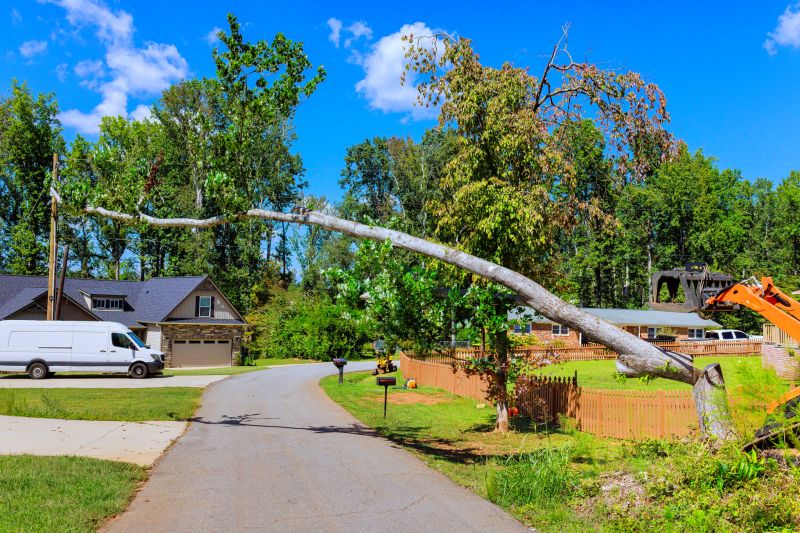 Cost of Dead Tree Removal in Warrenton, VA