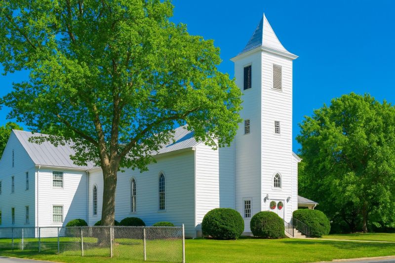 Tree Removal Service in Haymarket, VA