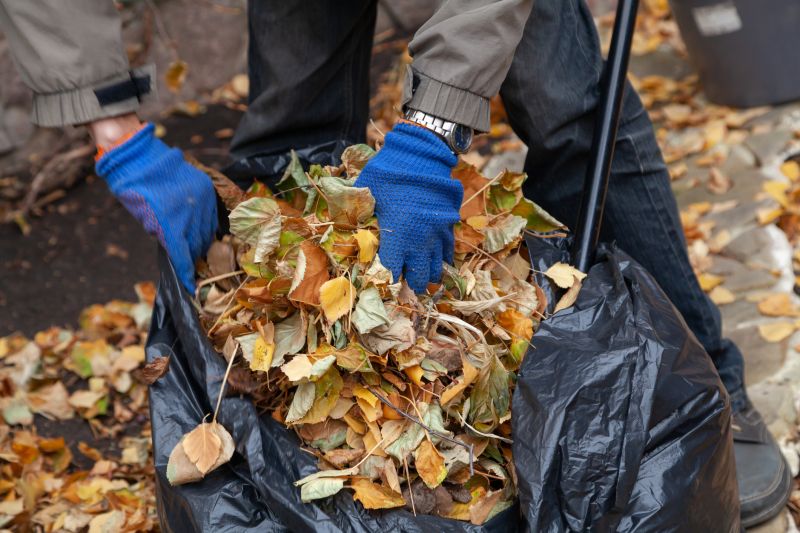 Leaf Removal Service
