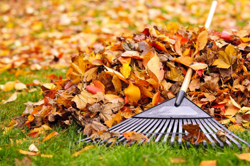 Preventing Lawn Damage