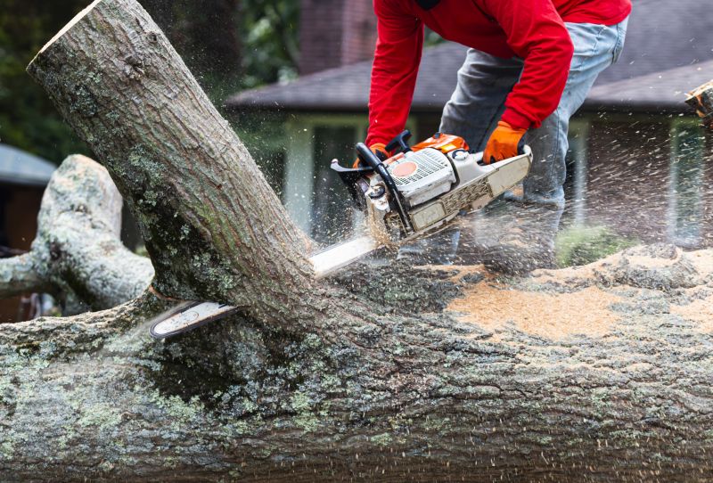 Tree Cutting Equipment