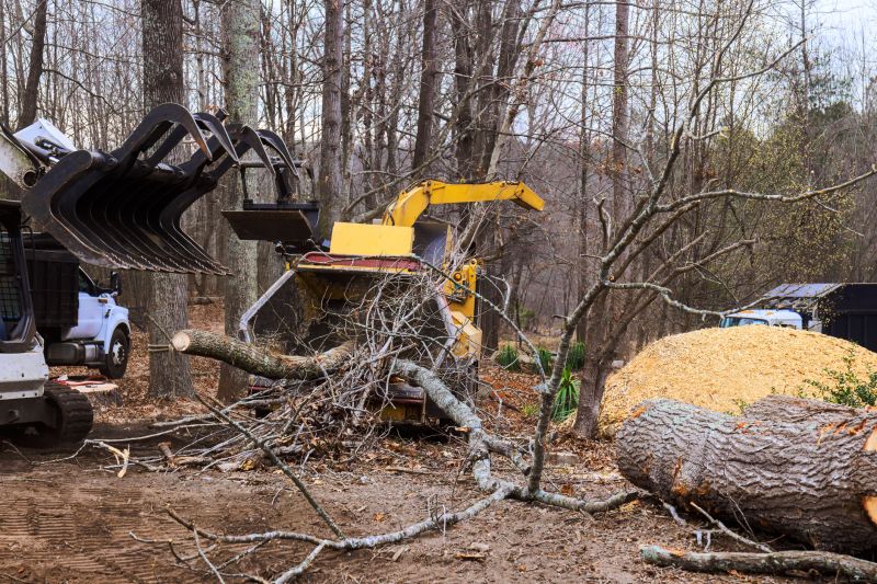 Equipment in Use for Tree Removal