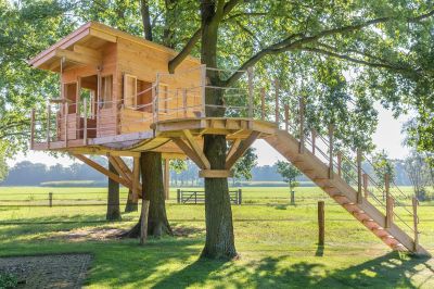 House Raising
