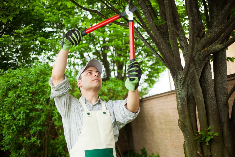 Common Pitfall to Avoid
