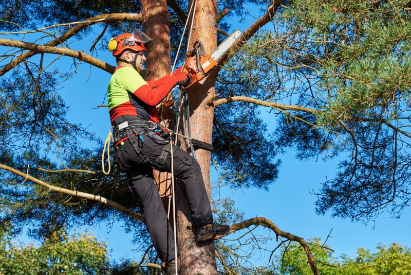 Safety Gear in Use