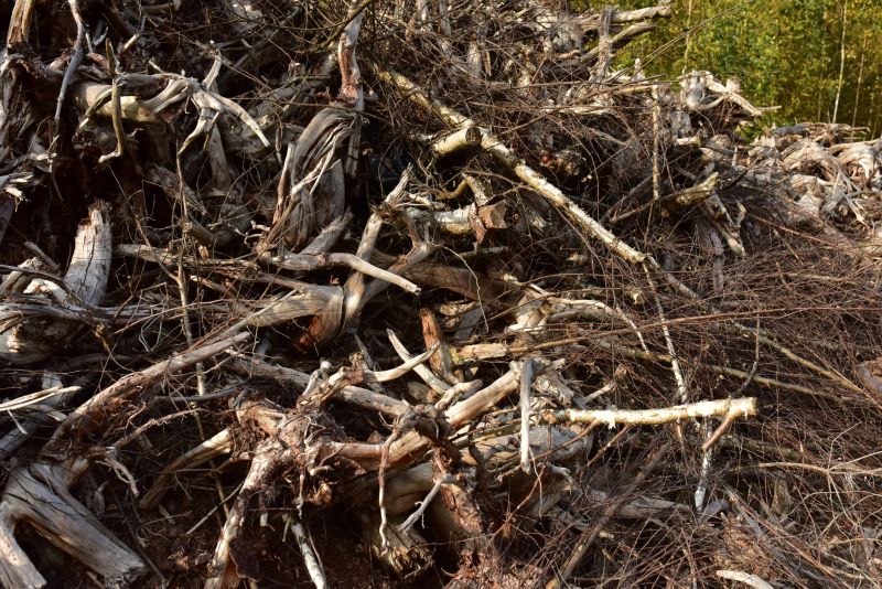 Debris Cleanup