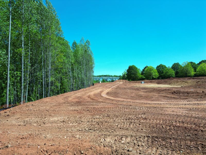 Site Restoration
